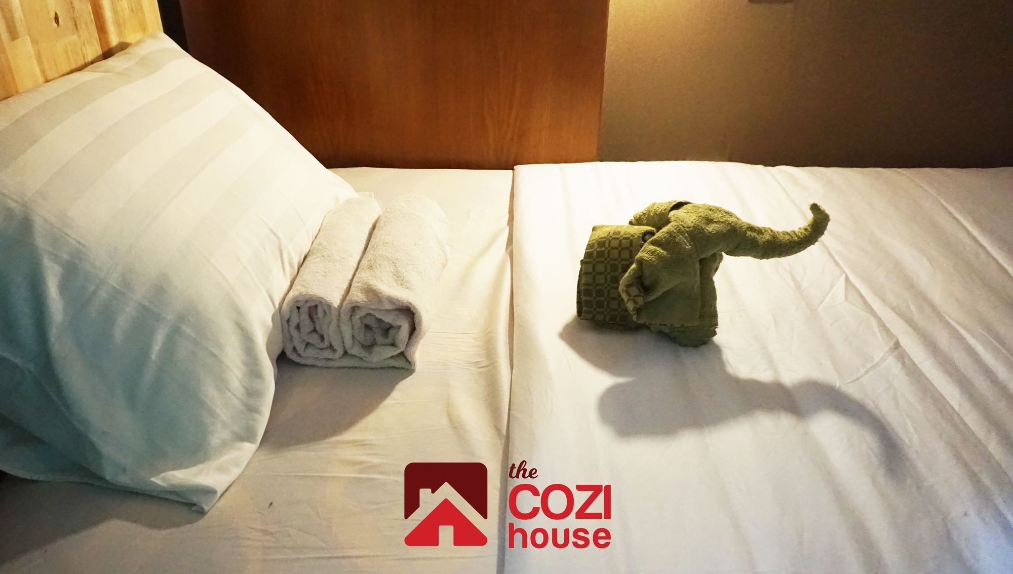 Oyo 708 The Cozi House - Homestay Ho Chi Minh-staden Exteriör bild